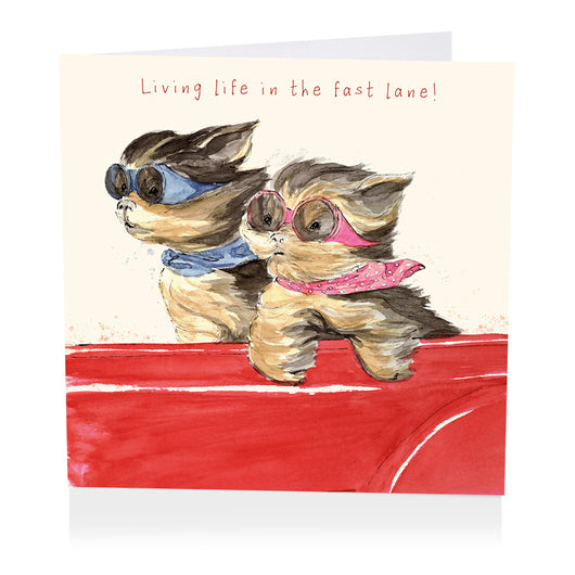 In The Fast Lane Greeting Card