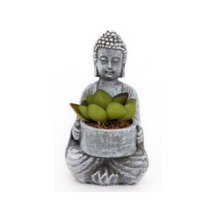 Sitting Buddha With Succulent