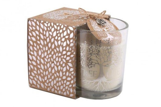 Candle Pot In Open Box