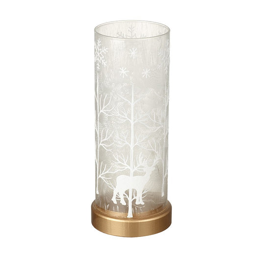 Large Glass LED Decoration