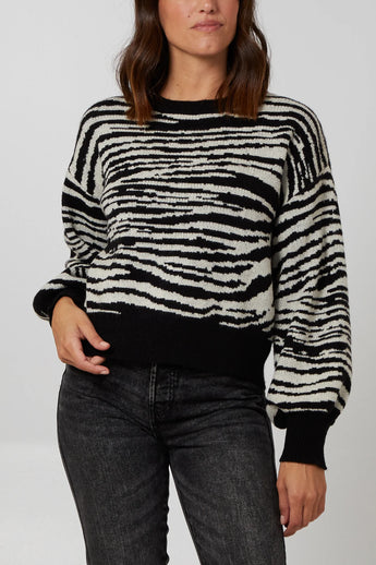 Zebra Jumper