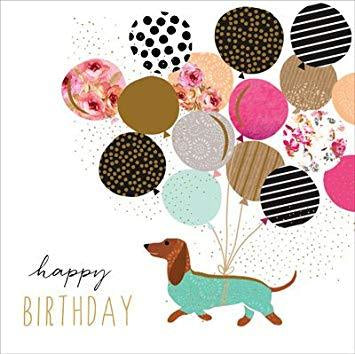 Balloons Dog Birthday Card  By Jaz And Baz