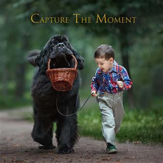 Capture The Moment Greeting Card