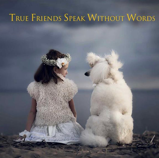 True Friends Speak Without Words