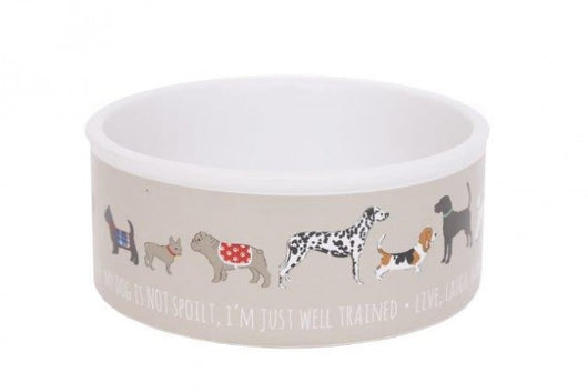 Large Dog Bowl