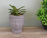 Small Faux Succulent in A Buddha Head